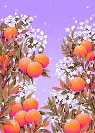 Orange front cover von Laurie-Anne Poquet